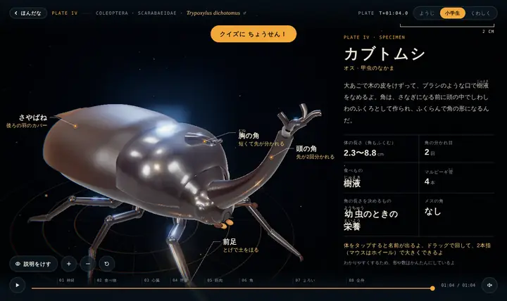カブトムシの3Dモデルと標本カード