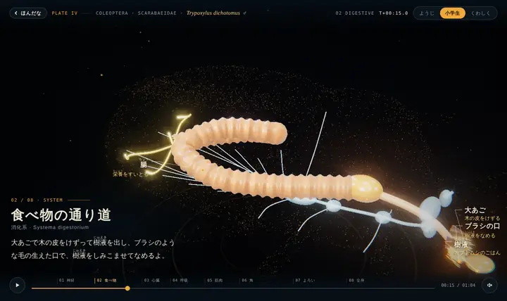 カブトムシの食べ物の通り道を組み立てている画面