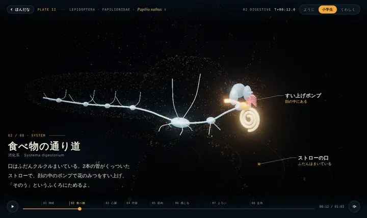 アゲハのストローの口とポンプの解説画面
